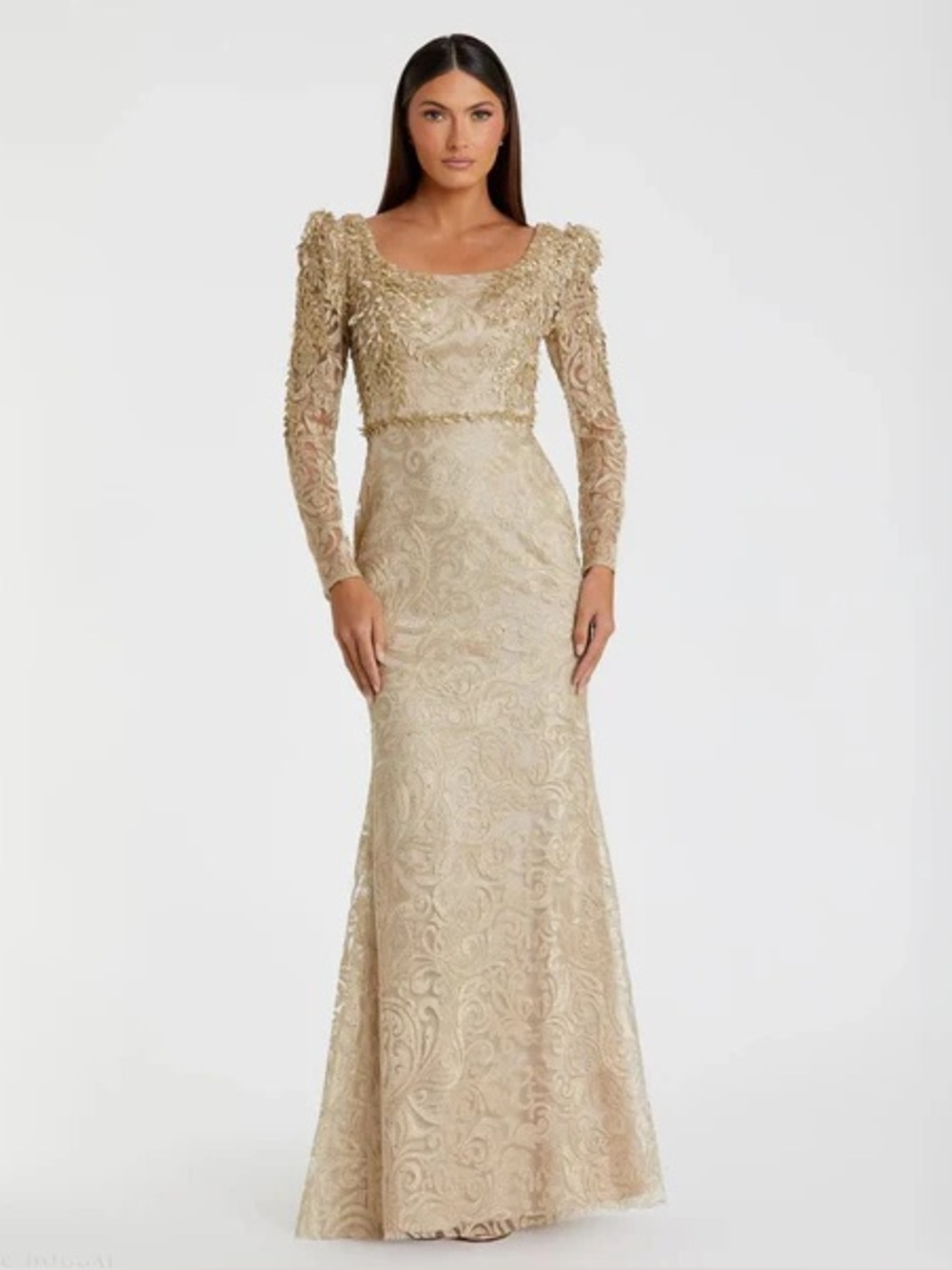 Gold Long Sleeve Embroidered Applique Trumpet Gown